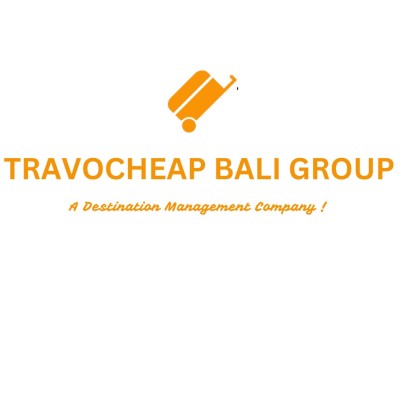 DMC TRAVOCHEAP TRAVELS PVT LTD