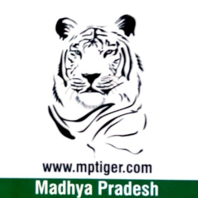 My Pleasure Holidays