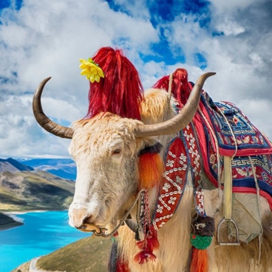 Taste of Tibet 5 Night 6 Days