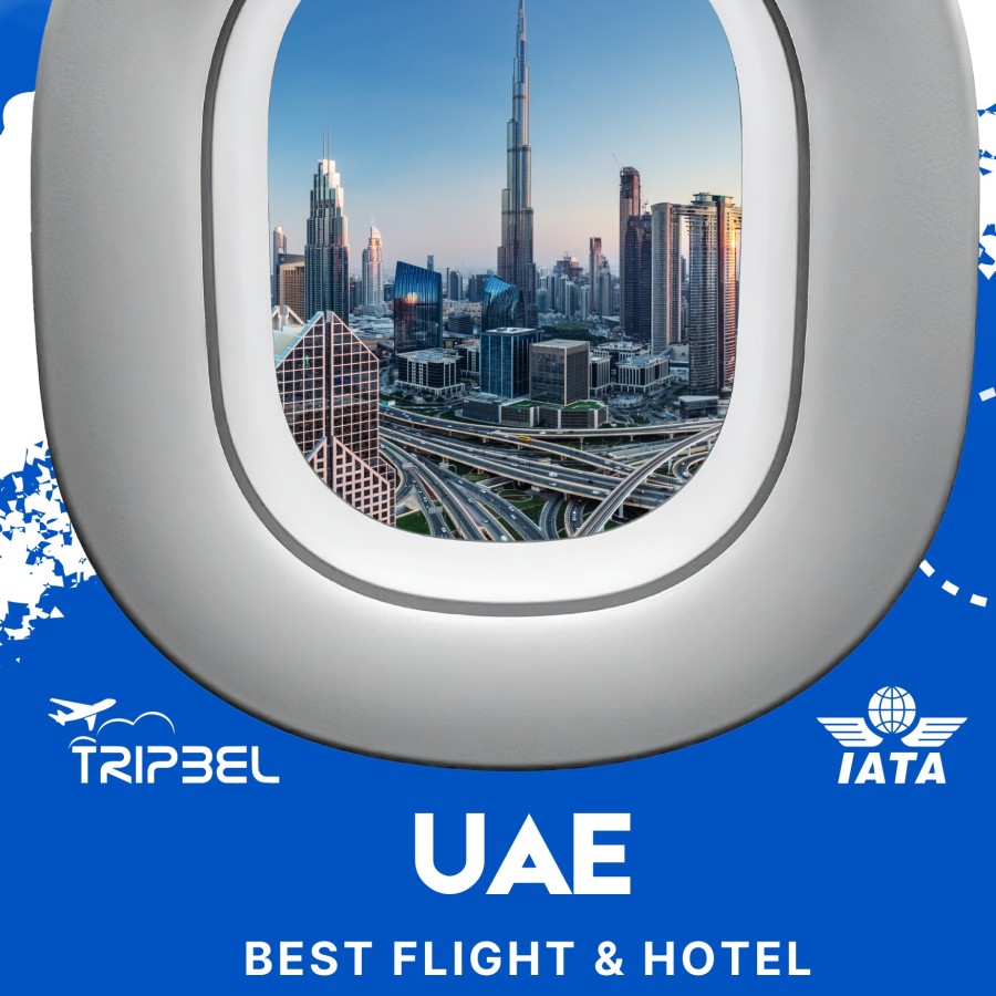 Delhi - Dubai Air Tickets