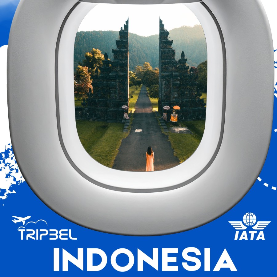 Delhi - Bai Air Tickets