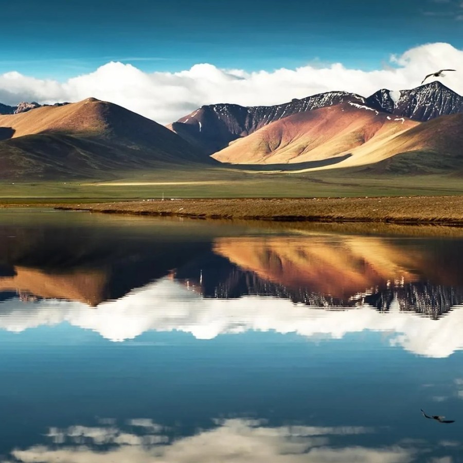 “Desert in the sky, fire in the soul.”