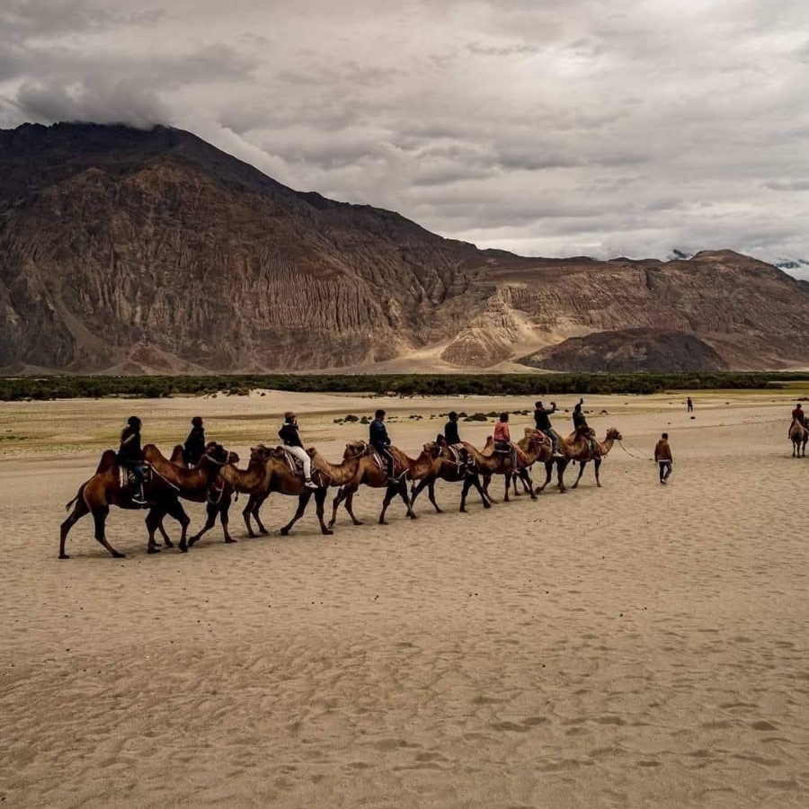 Trekking, cycling, expedition