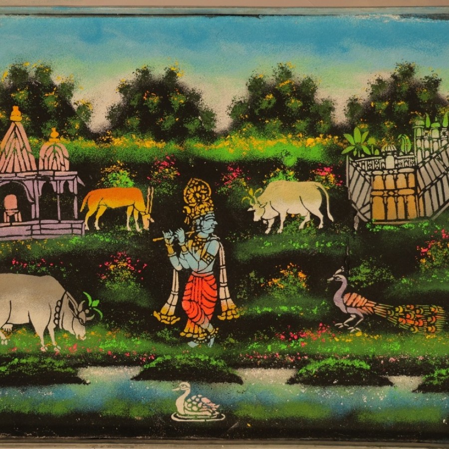 Travel Experiences in Udaipur